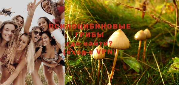 стафф Тында