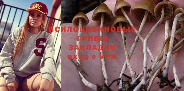 2c-b Богородицк