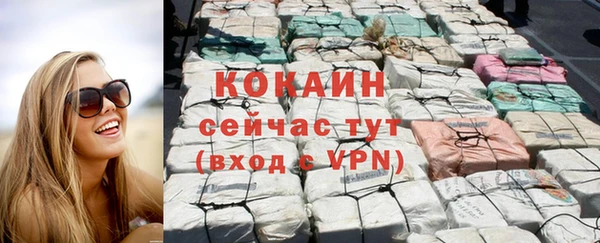 2c-b Богородицк