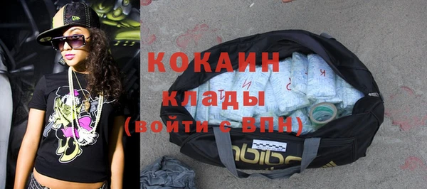 2c-b Богородицк