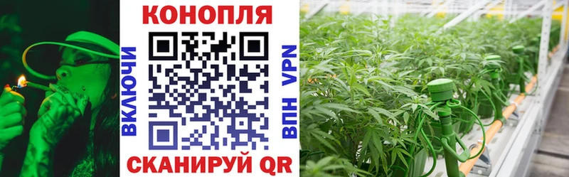 что такое   Киренск  Марихуана конопля 